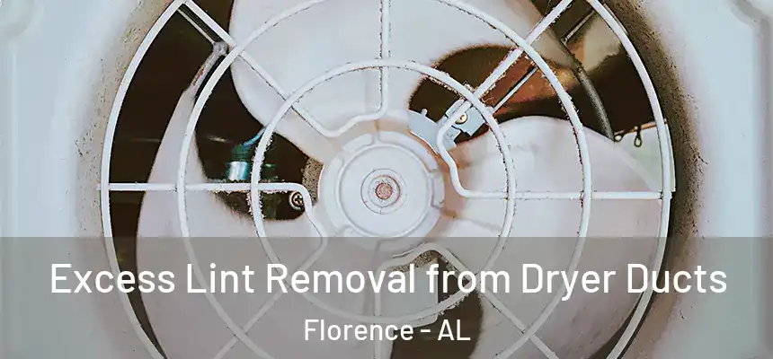  Excess Lint Removal from Dryer Ducts Florence - AL