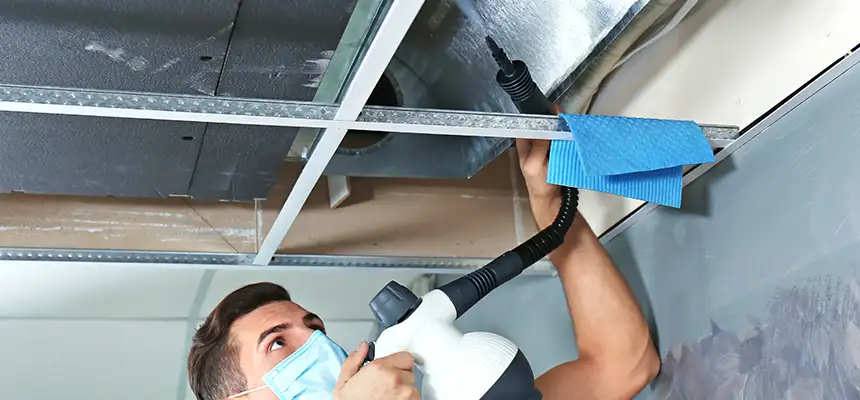 Our Air Duct Rodent Removal Services in Florence, AL