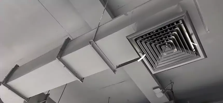 Our Pest Removal From Ducts Services in Florence, AL