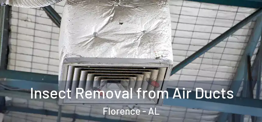  Insect Removal from Air Ducts Florence - AL