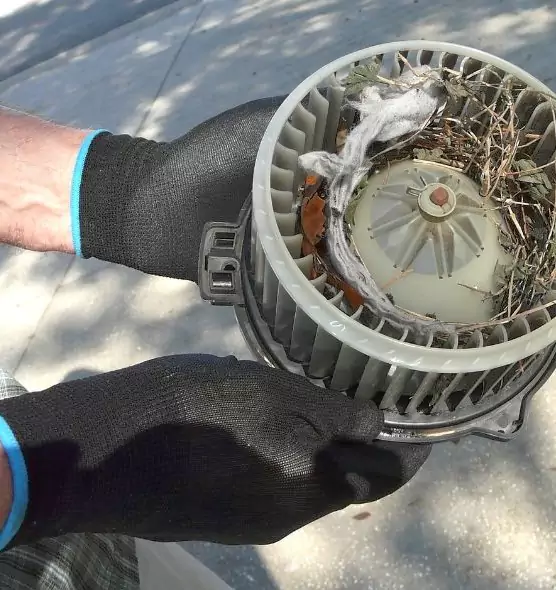 About Air Duct Mice Removal in Florence, AL