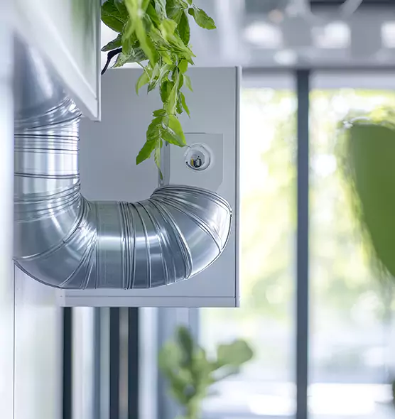 Professional Eco-Friendly Duct Cleaning Services in Florence, AL