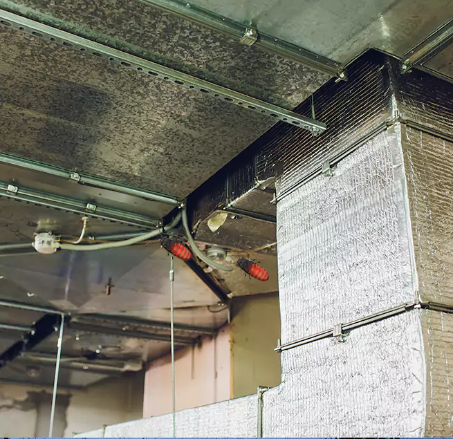 Why Homeowners & Businesses Trust Us in Florence, AL?