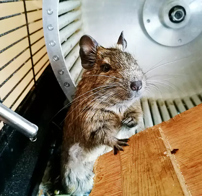 Why Homeowners & Businesses Trust Us Florence, AL