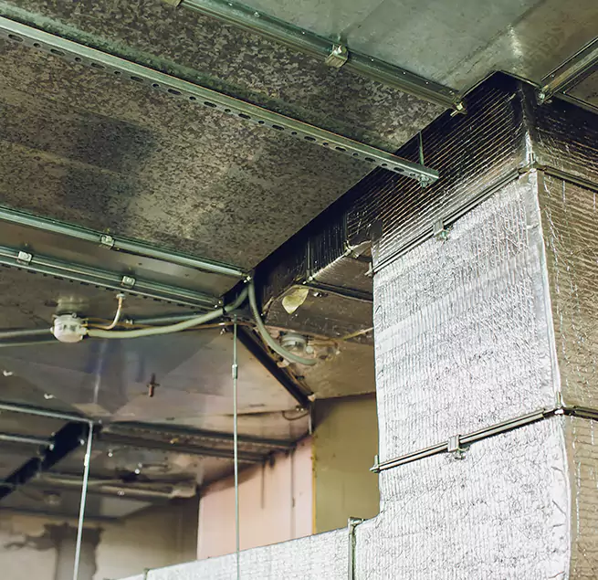 Why Homeowners & Businesses Trust Us in Florence, AL?